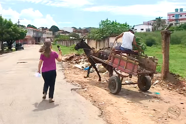 Repórter da Globo é ignorada por carroceiro e refaz meme “senhora”; confira o vídeo