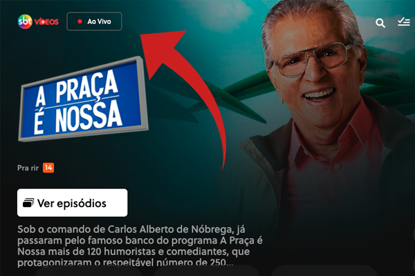 Como assistir SBT ao vivo online grátis