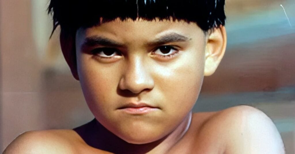 O Rei do Gado - Pedro Gabriel